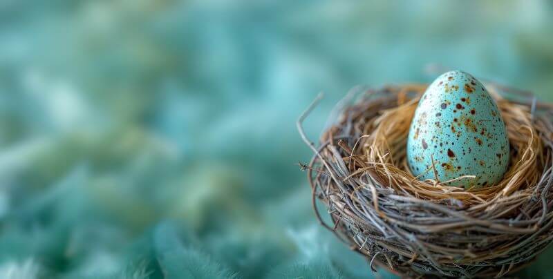 Photo of a speckled turquoise bird's egg in a nest against a background of blues and greens.